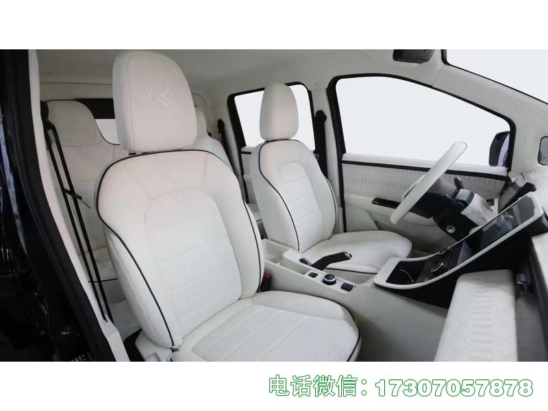 带冰棺殡仪车